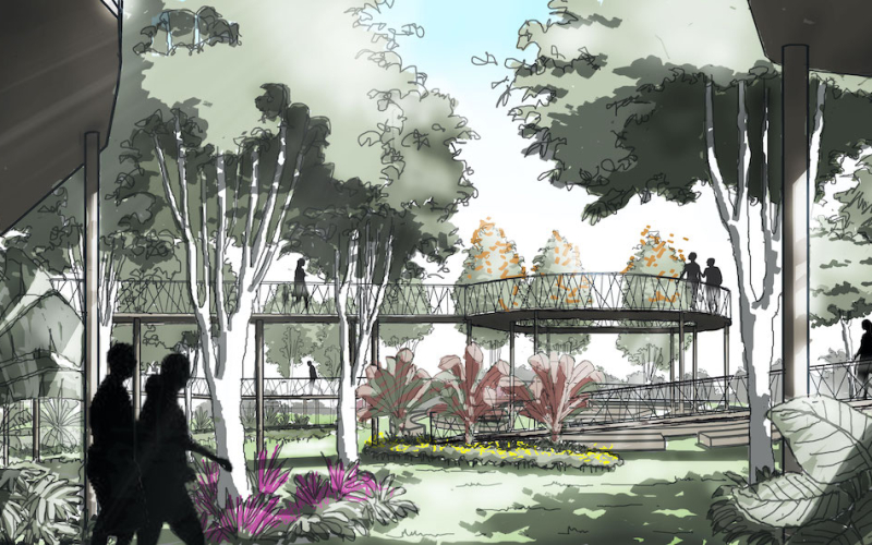 hanging-walkway-area