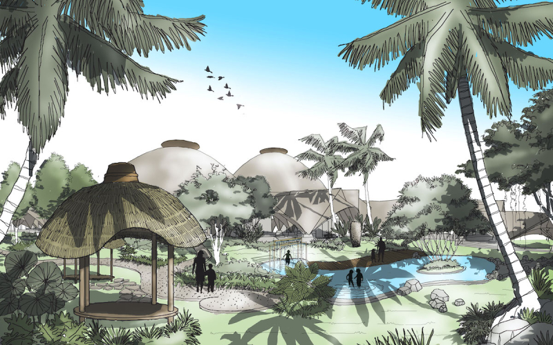 kid_s-pond-area